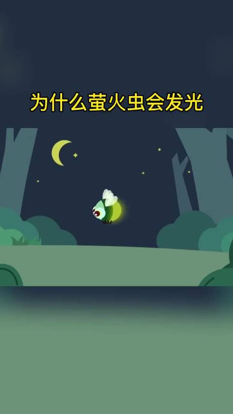 萤火虫亮亮揭秘发光原理，仙鹤博士解析化学小工厂