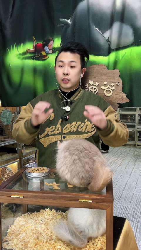 原来大龙猫和小龙猫吃的东西是一样的