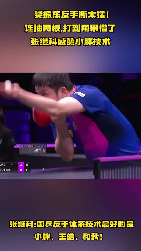 樊振东反手连抽两板打懵雨果，张继科盛赞其技术