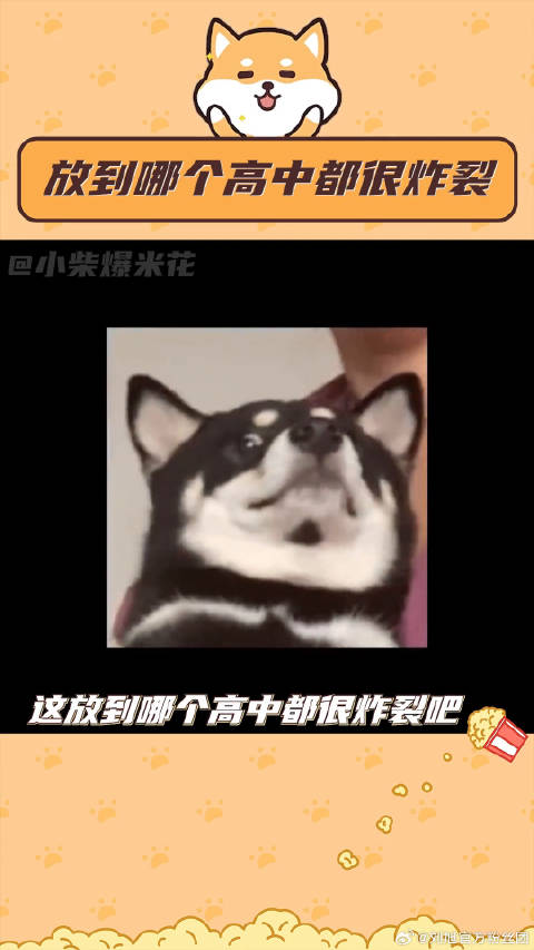 真的很炸裂，感觉会因为这些事情让全校同学记住一辈子的程度炸裂 搞笑