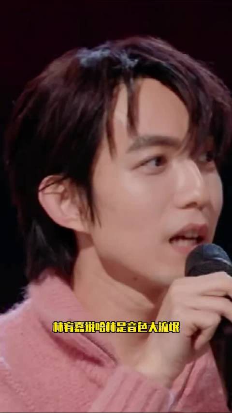 林宥嘉说哈林是音色大流氓，我们六旬老人差点都听晕了林宥嘉