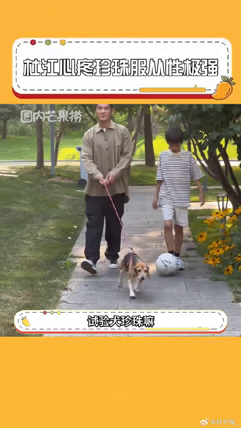 杜江 珍珠现状 微博VC计划