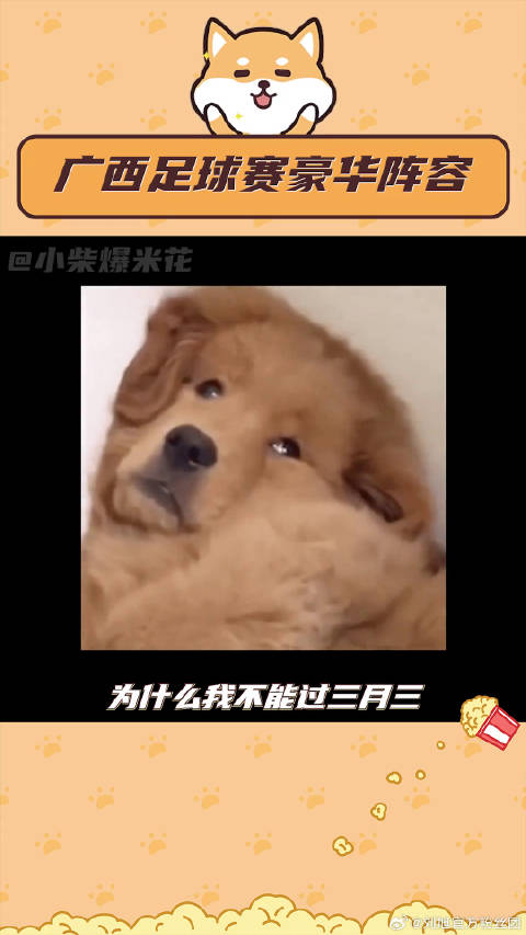 足球嘉年华广西站开幕，体育圈齐聚三月三