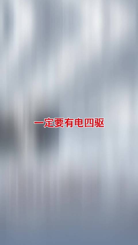 我又和@su超聊电车 说，一定要有四驱，电四驱，其在大东北