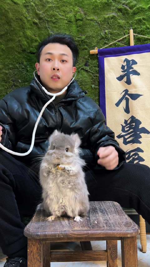 大菠萝太优秀～我给你来个菠萝咒