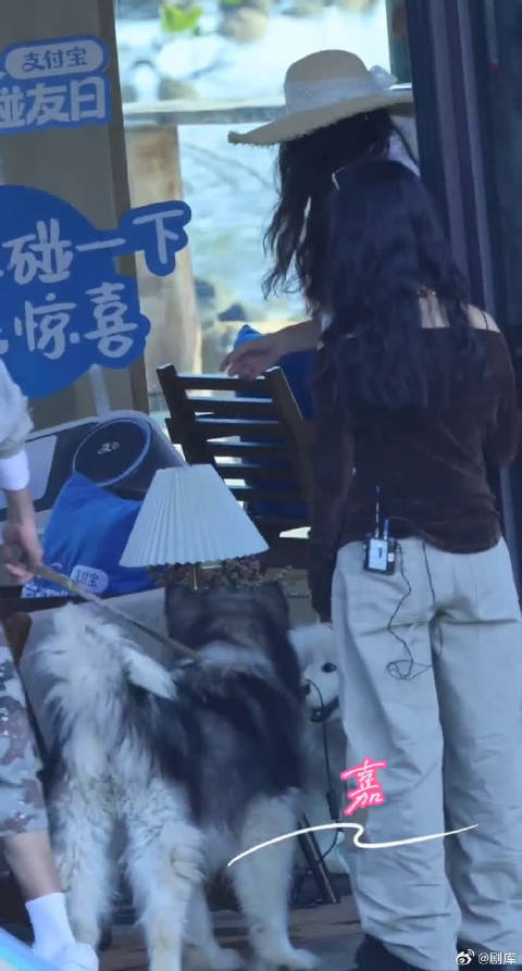 老友齐聚！何老师王鹤棣沈月同框，海边慢生活治愈感拉满