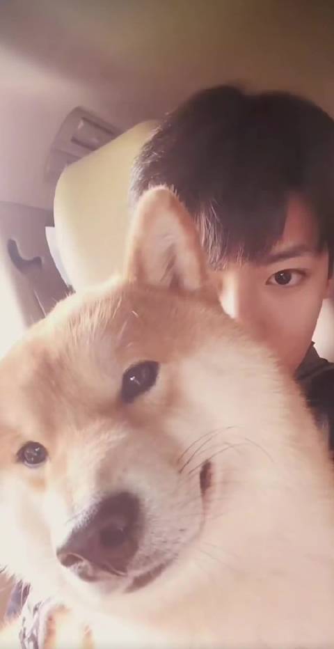 如此之萌的宝宝是谁呀原来是亮亮！