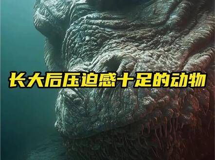 这些生灵成年后的气场简直令人窒息！