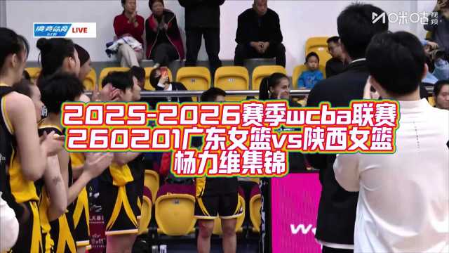 广东女篮大胜陕西，杨力维贡献5分3助攻