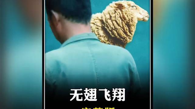 只因是赘婿，断了双臂就被老婆赶出家门，结果他却闯出一片天 无翅飞翔