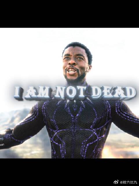 “我还没投降！”