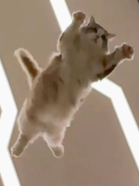 这大卡车压身上感觉得骨折