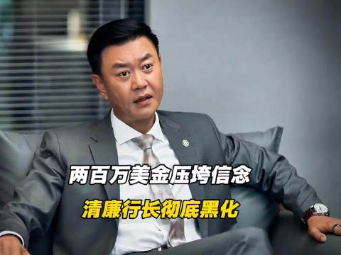 赵辉被新上司打压，瞬间黑化， 城中之城