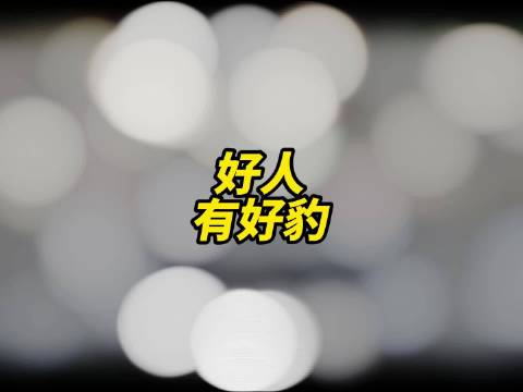 好人有好豹新能源比亚迪汽车