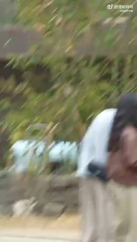 两位一见面就亲呢的挽着手，这谁能分得清沈月谭松韵