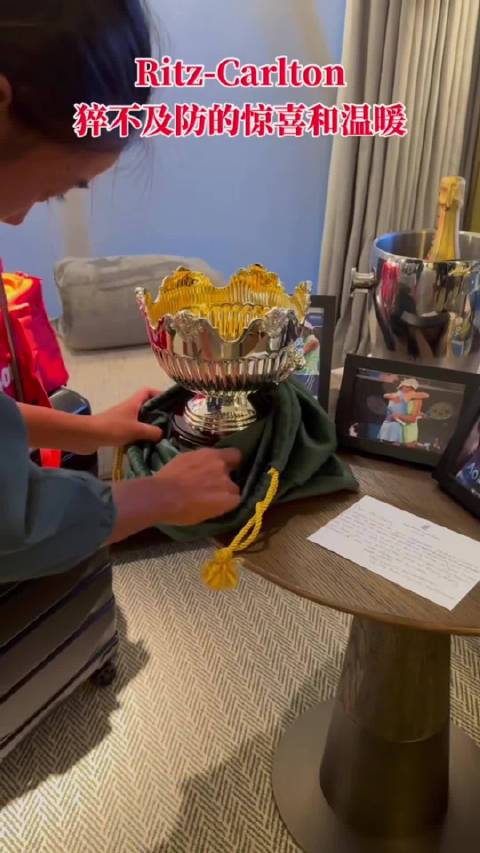 张帅大满贯夺冠致敬樊振东手势