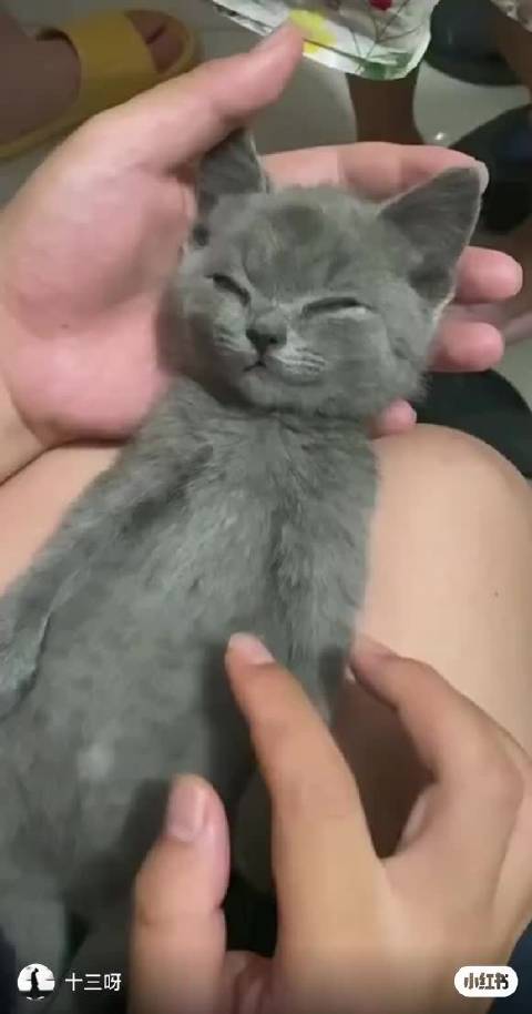 航航每天就这样惊醒然后吃饭