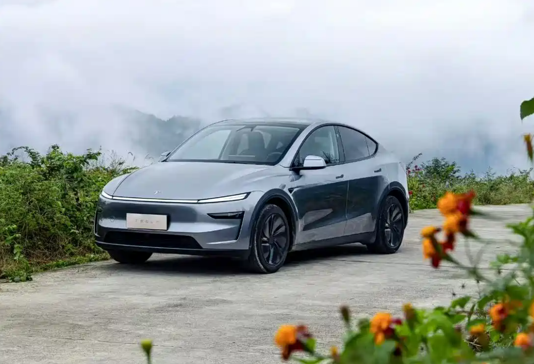 特斯拉突然官宣:26.35万起，新车正式发布!|内饰|成都车展|新车|特斯拉(公司)|长续航