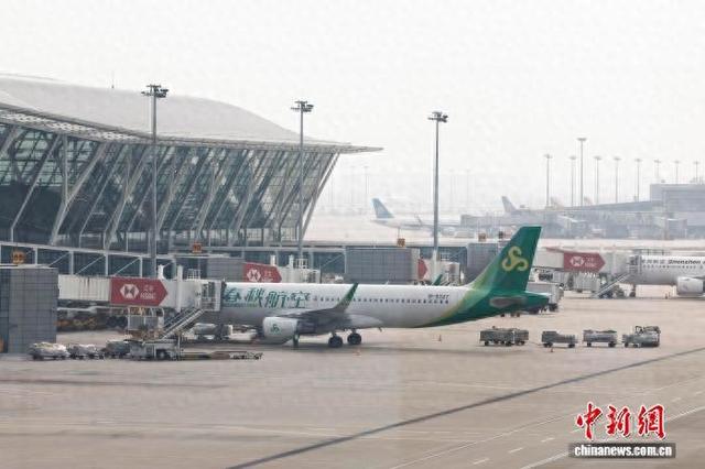 春秋航空空客A320客机在浦东国际机场。中新网记者 殷立勤 摄