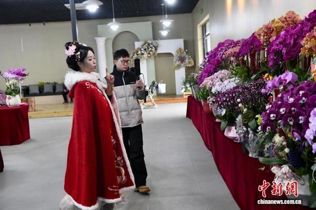 2月1日，电商主播在福建高速花博园新春花市直播。 中新社记者 王东明 摄