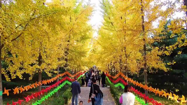 张雨绮被曝将退出所有节目录制