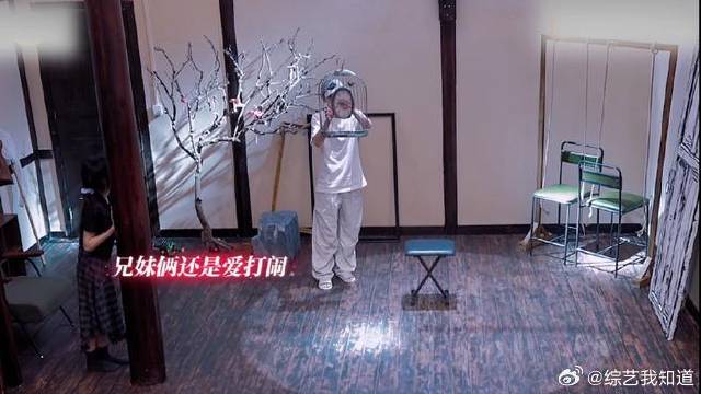 彭昱畅张子枫演《快把我哥带走》第二部