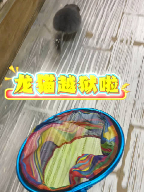 这是老油条谁来给我出出主意