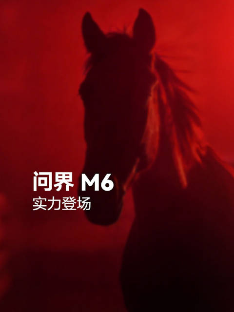 问界黑马/超6登场，问界M6即将亮相，你期待吗？