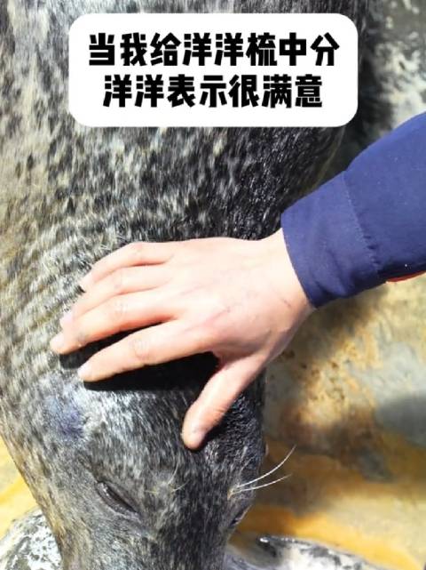 高兴的给梳个新发型，帅出天际！