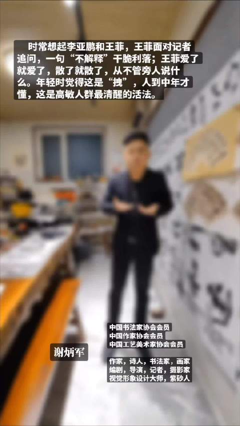 王菲谢炳军谈纯粹人生，忠于自我不解释