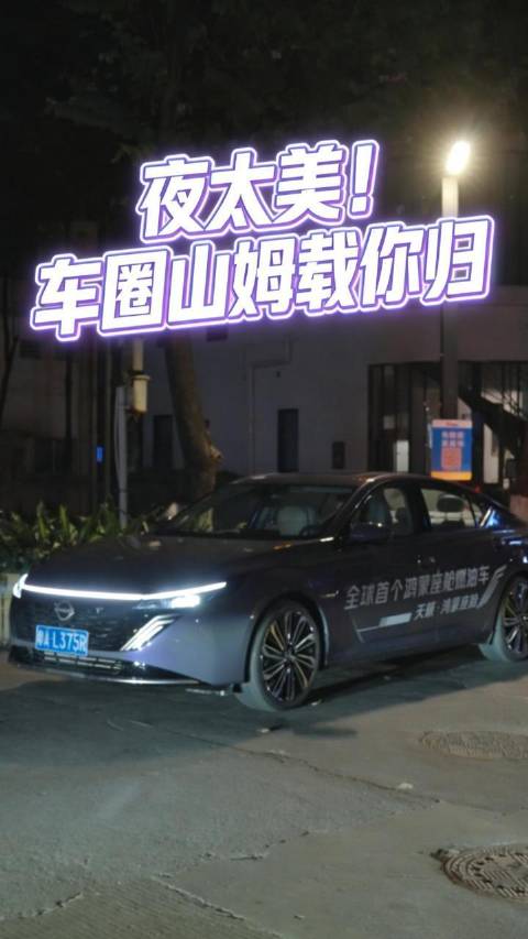 你太累 尽管再无言 这趟旅程我在用心点缀