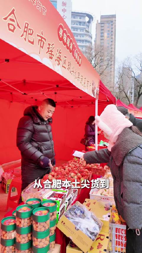 一本正经研究所 一站式买齐合肥这个年货大集火了