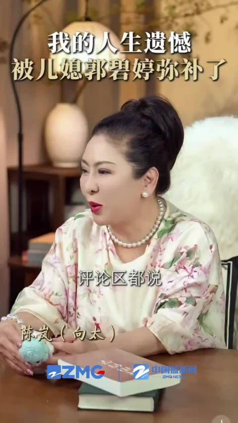 向太谈郭碧婷带娃