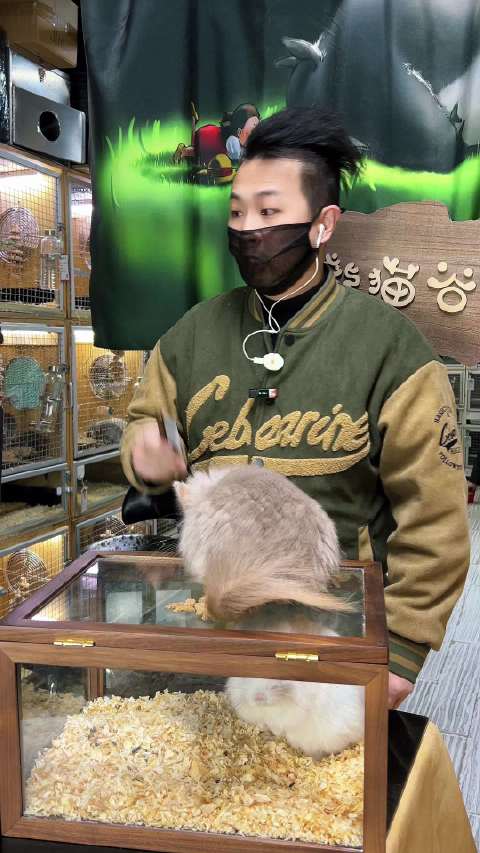 不给龙猫吃零食…原来是对她好