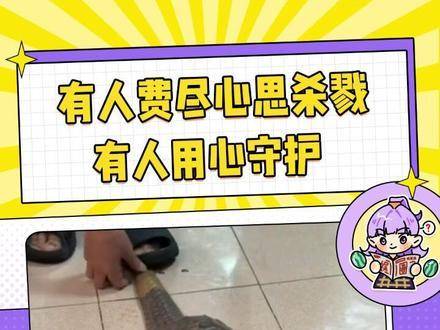 我们拒绝分摊罪恶，选择携手守护地球上的每一种生灵 angelababy