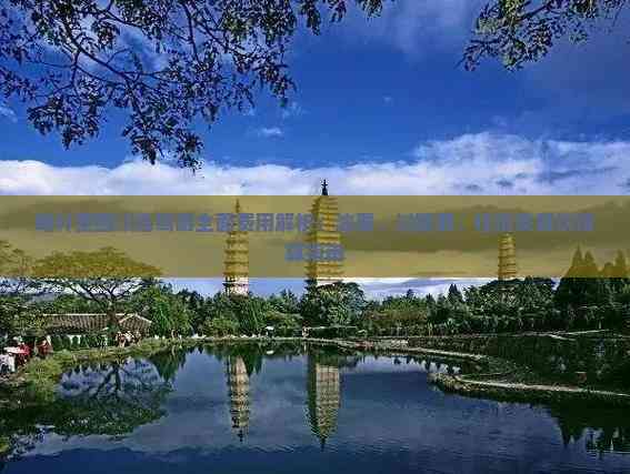 喀什至四川自驾游全面费用解析:油费、过路费、住宿及餐饮预算指南