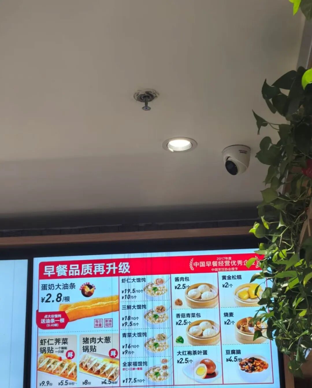 图源：小红书