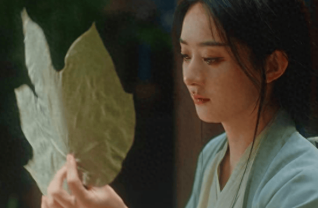 《与凤行》热度不减,观众对赵丽颖褒贬不一,口碑平庸但热度高涨_演技_剧集_角色