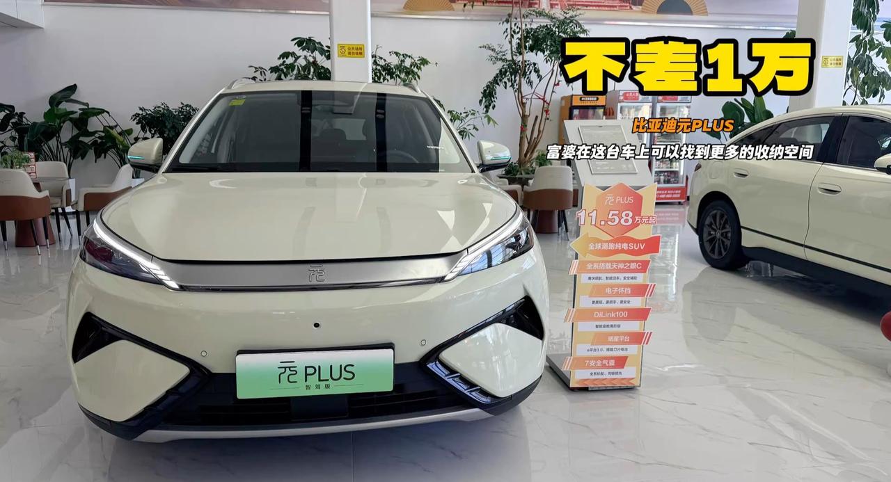 视频：富婆选车怎么选元PLUS 上510km顶配才12万多 小细节才有品味