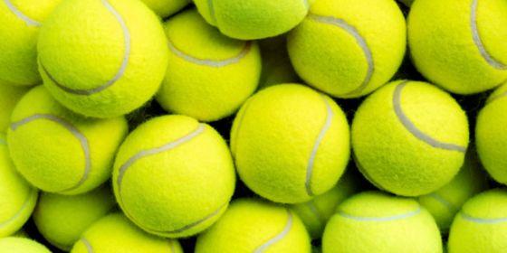 冲击第25座大满贯!德约3-2战胜辛纳进澳网男单决赛，将战阿卡 -直播吧手机版