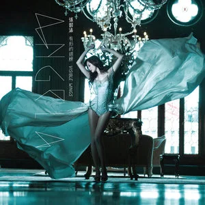 有形的翅膀[张韶涵2012年演唱歌曲]