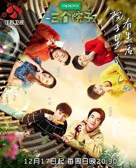三个院子[2017年江苏卫视播出的真人秀]