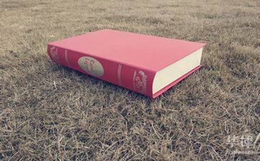 保险理赔投诉怎么投诉