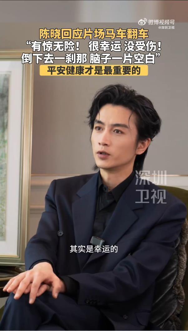 陈晓回应拍戏时马车翻车：有惊无险吧，确实我脑子是一片空白的