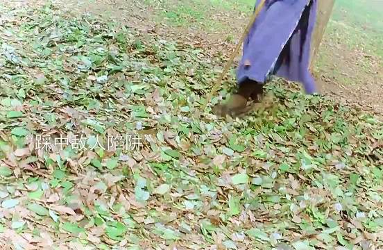 女杀手暗杀盲人小伙，不料对方的实力太强大