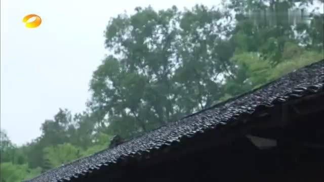 张子枫躲房间练歌！边打哈欠边哼歌，又是被妹妹可爱到的一天