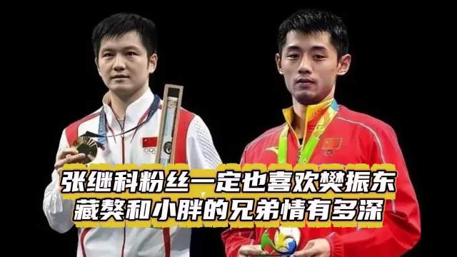 张继科：樊振东在哪国都厉害