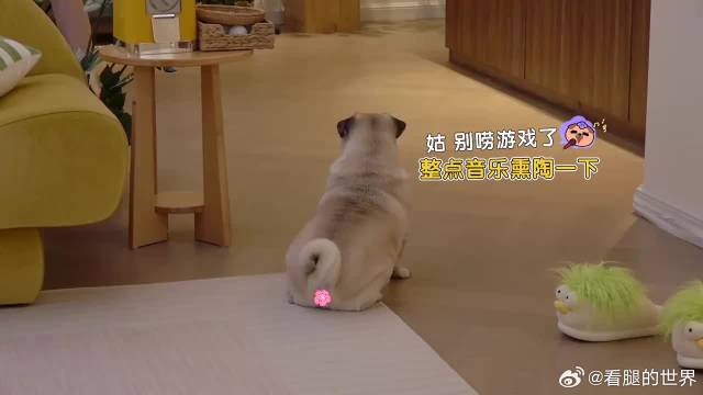 张彬彬毛不易唱歌，谁注意毛晓彤的眼神，直盯着张彬彬