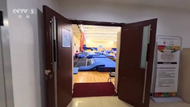 中国跳水队6奥运冠军备战世界杯，全红婵缺席