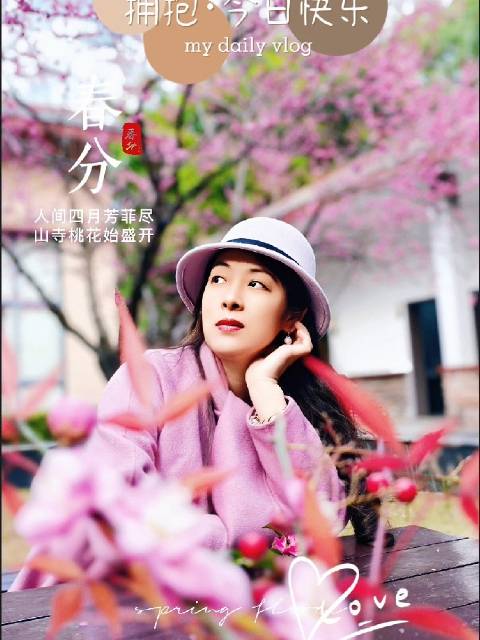 荷塘之景，如诗如歌，让人在喧嚣的世界中找到一片宁静的港湾